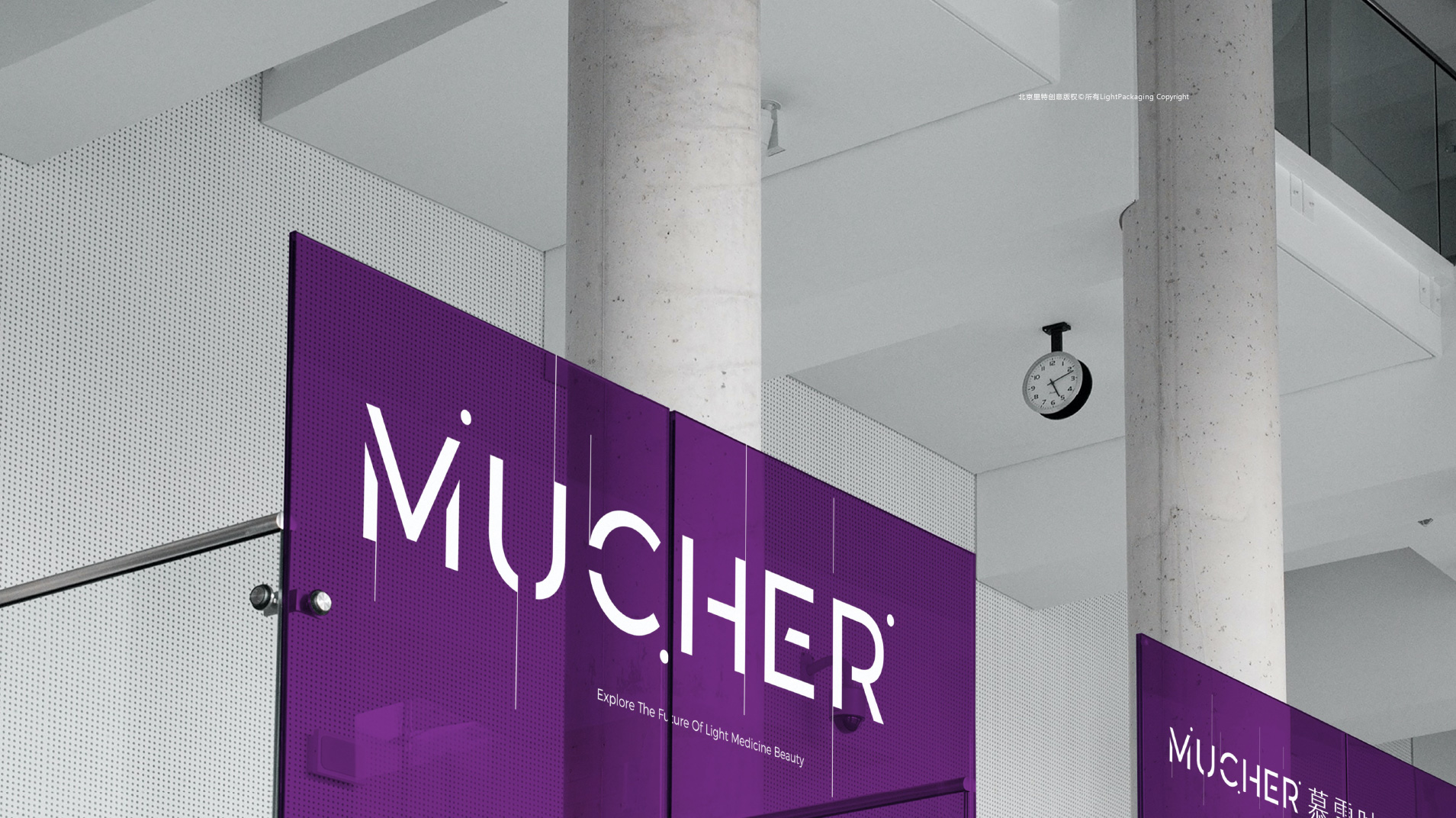 慕雪时代 慕雪时代